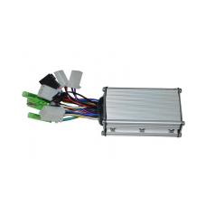 BEYİN (ZF6-S)